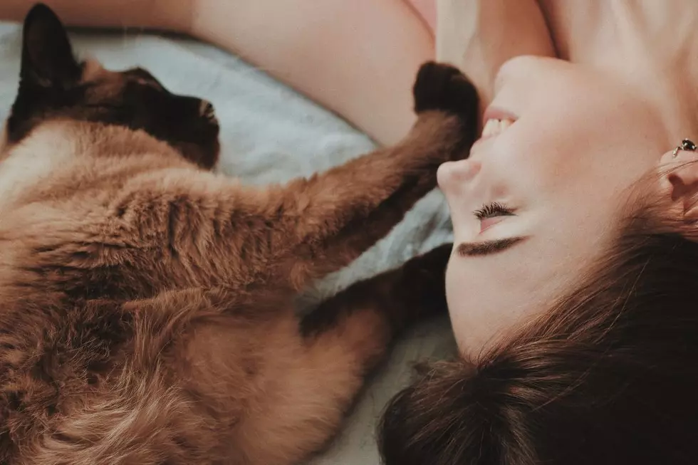 People With Pets Have Better Quality of Life According to New Study