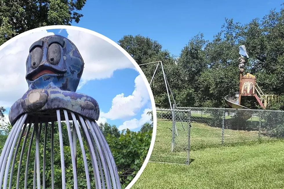 This Backyard Features a Full McDonaldland Playground