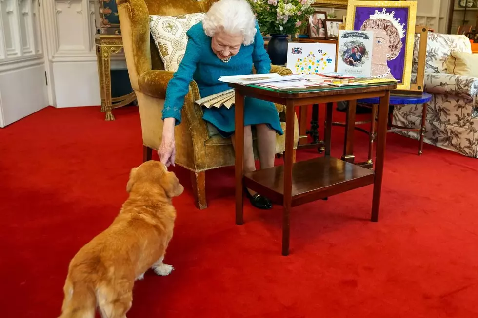 What’s Going to Happen to Queen Elizabeth II’s Corgis?