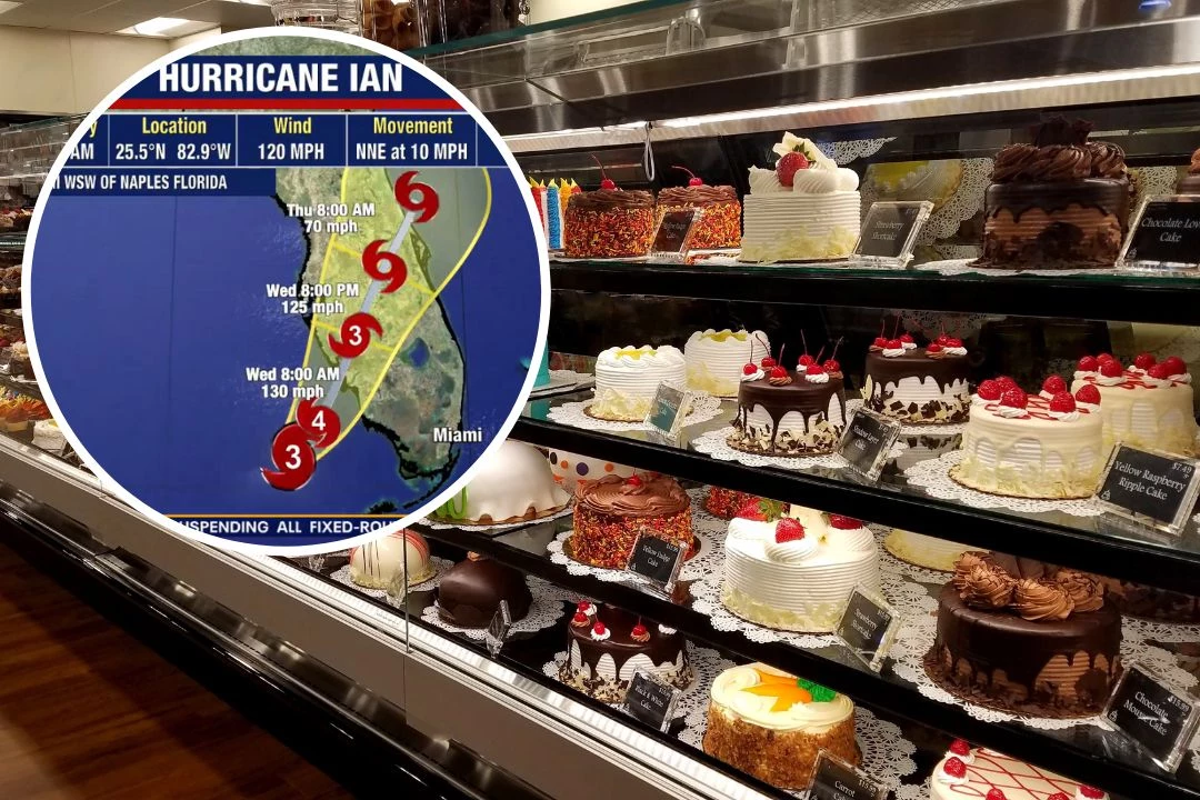 Hurricane Irma-themed cakes have been popping up all over Florida |  Shropshire Star