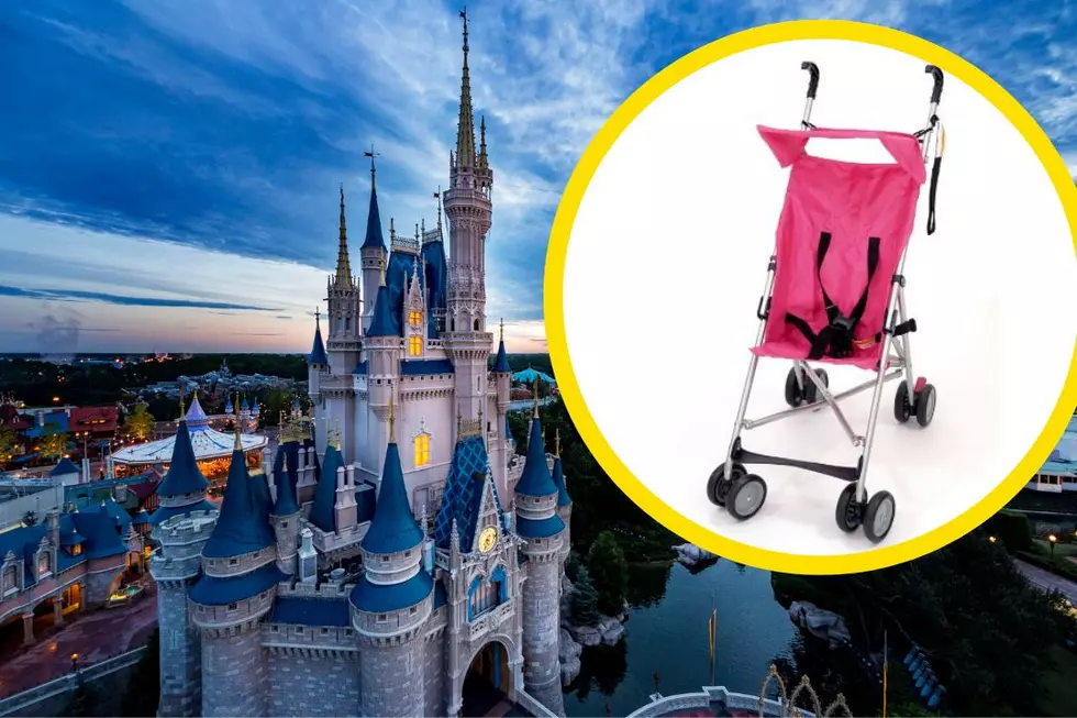 Family Appears to Sneak Child Into Disney World Using Stroller: WATCH