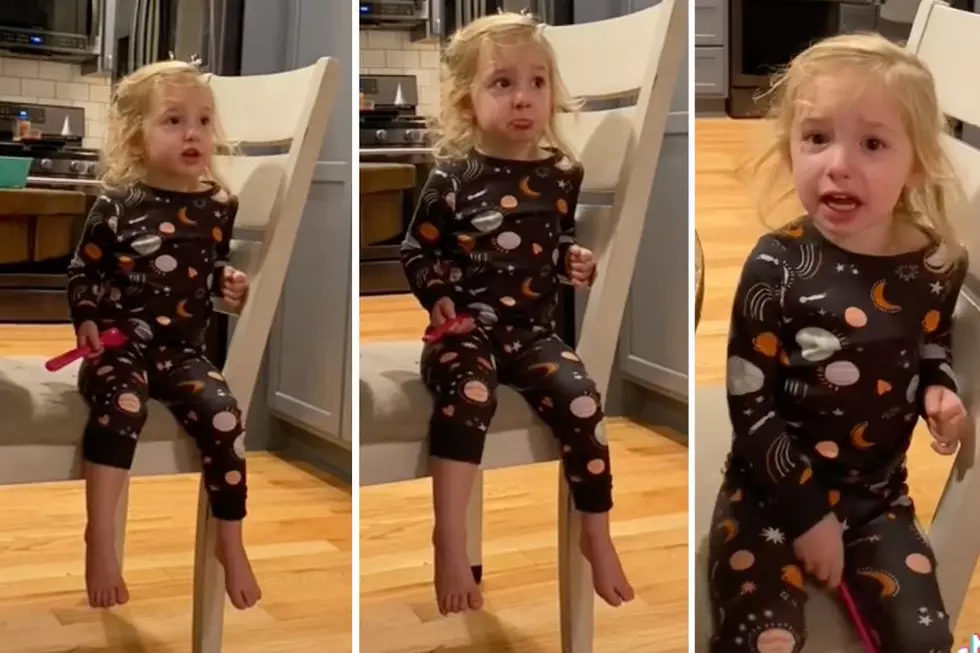 Toddler Devastated After Watching Mufasa Die in 'The Lion King'