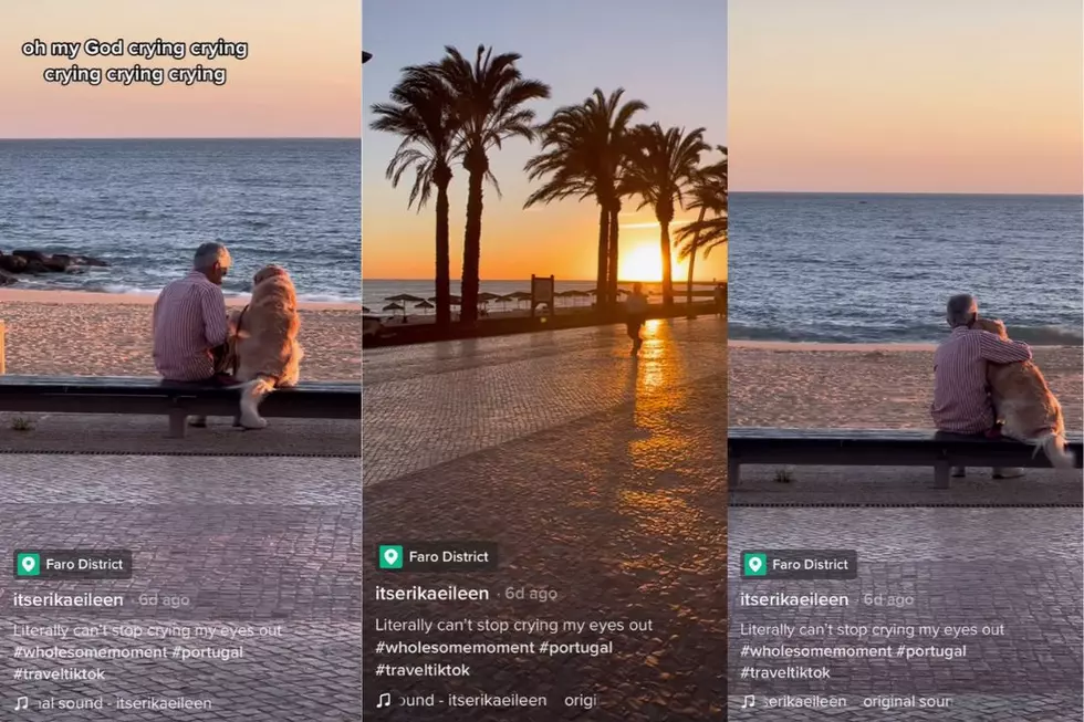 Man Watches Beach Sunset With Dog in Moving TikTok: WATCH