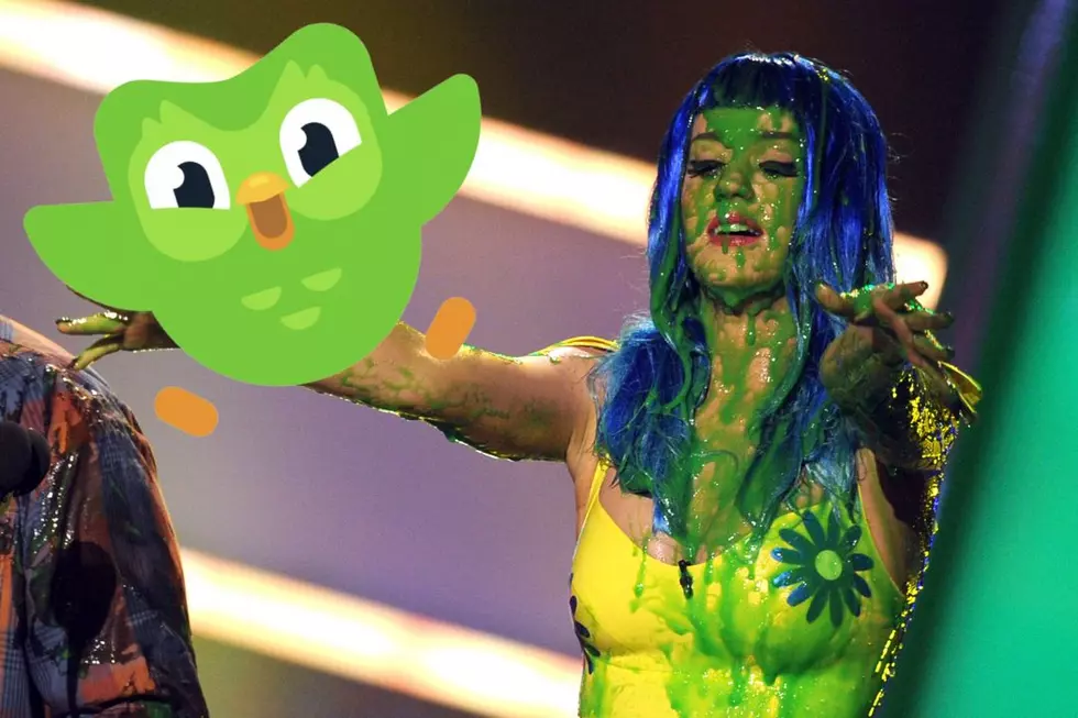 The Duolingo Bird Just Made a Very NSFW Joke About Katy Perry Getting Slimed