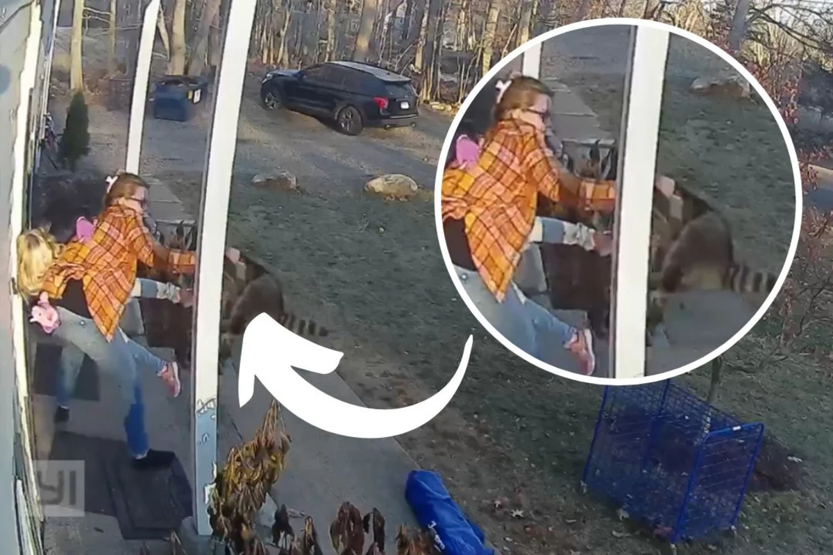 Attack Raccon Mom Saves Daughter From Rabid Racoon Attack in Viral Video
