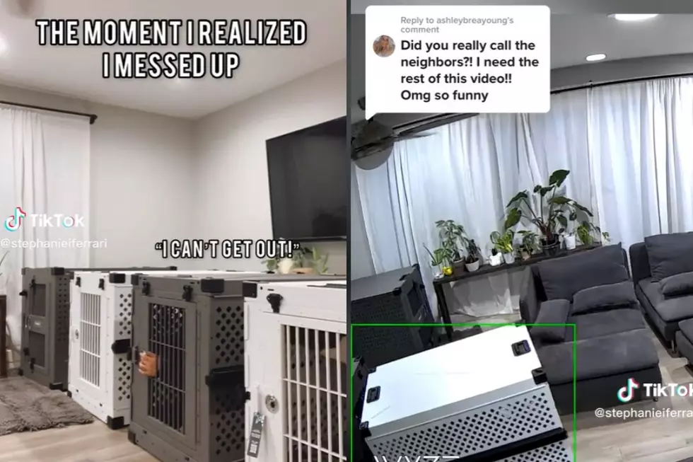 Doggone It! Couple Accidentally Lock Themselves in Dog Crates in Viral Video: WATCH