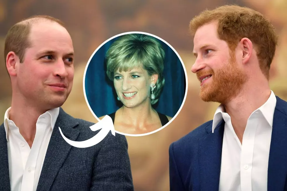 Prince Harry Thinks William No Longer Resembles Diana