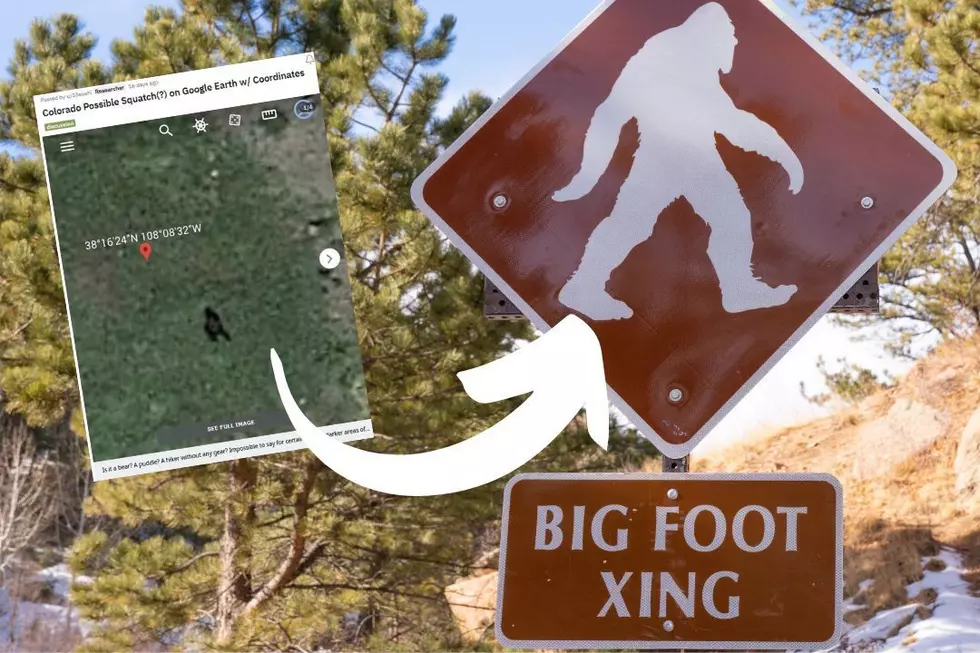 ‘Bigfoot’ Spotted on Google Earth (PHOTO)