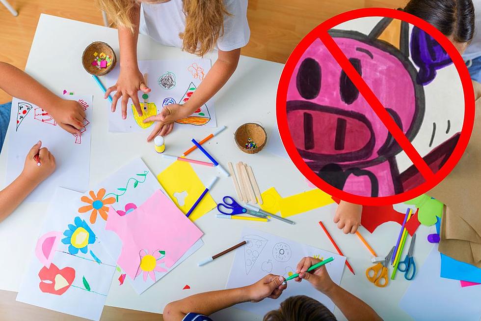 Child’s ‘NSFW’ pig drawing deemed ‘inappropriate’ by school