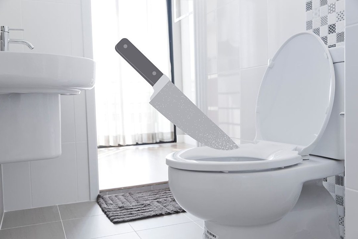 Weird Toilet Featuring 'Poop Knife' Goes Viral on Reddit