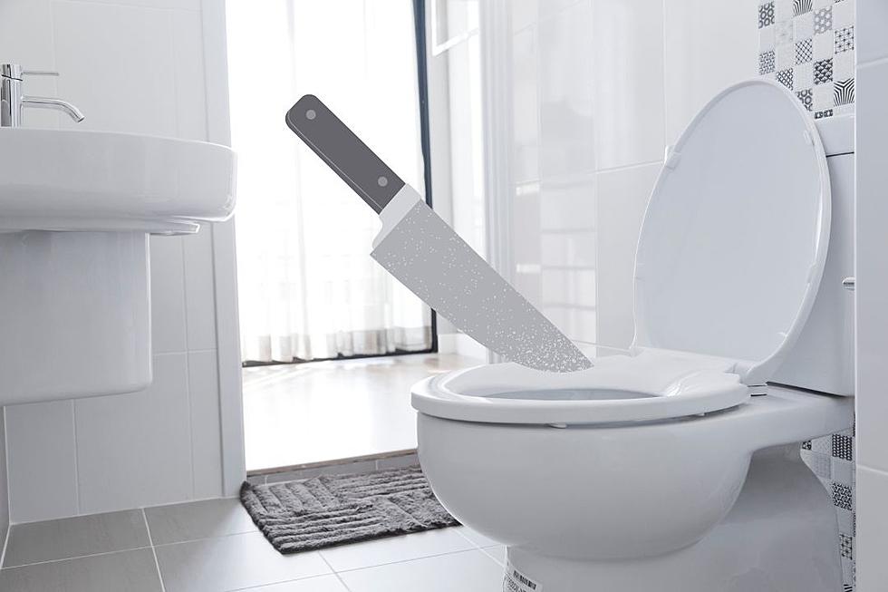 Weird Toilet Featuring &#8216;Poop Knife&#8217; Goes Viral on Reddit