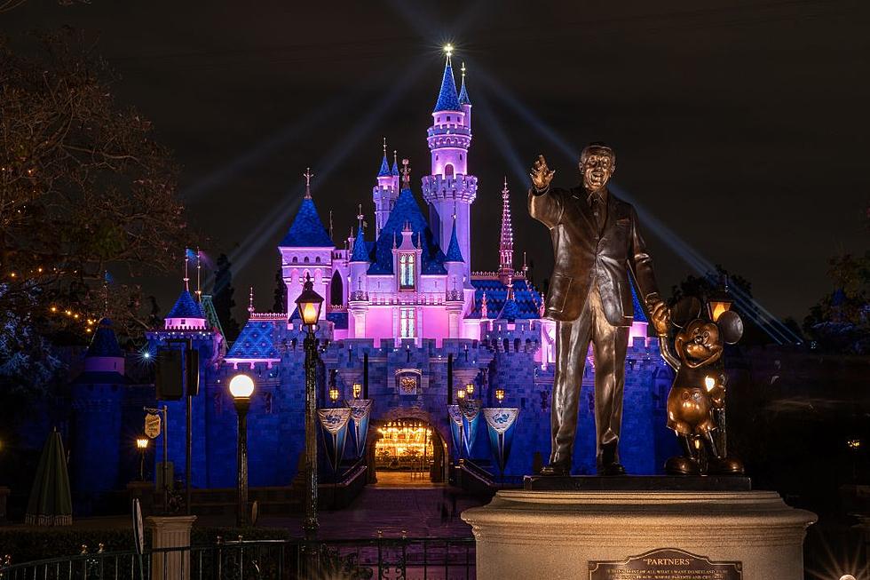 Man Visits Disneyland Every Day for Eight Years, Breaks Record