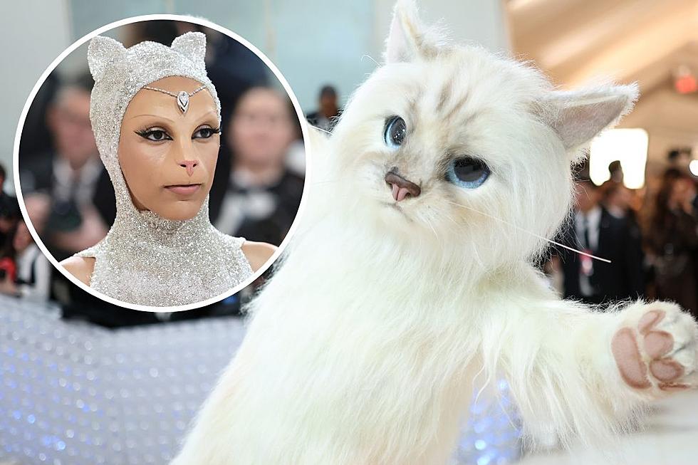 Two Celebrity Guests Literally Dressed Up as Cats for the 2023 Met Gala