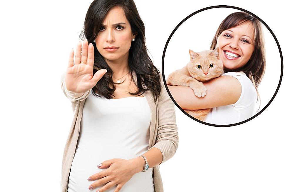 Woman&#8217;s Pregnant Cousin Demands She Change Pet Cat&#8217;s Name so She Can Use It for Baby