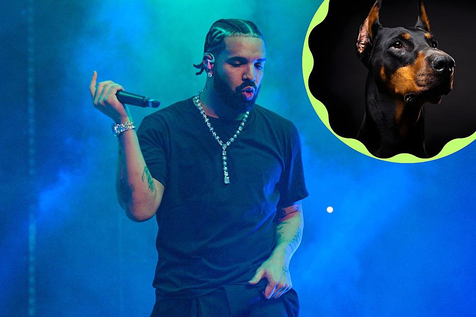 Woof! Drake Spotted Wearing Dog Mask En Route To Show