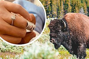 Yellowstone Bison Attack Survivor Says ‘Yes’ to Hospital Marriage...