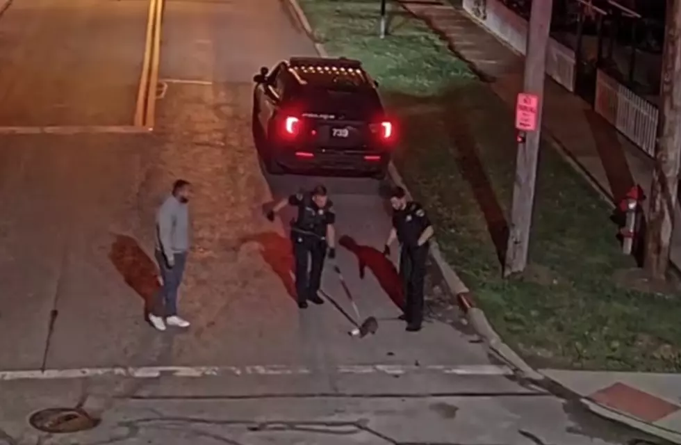 Painesville Police Department via YouTube