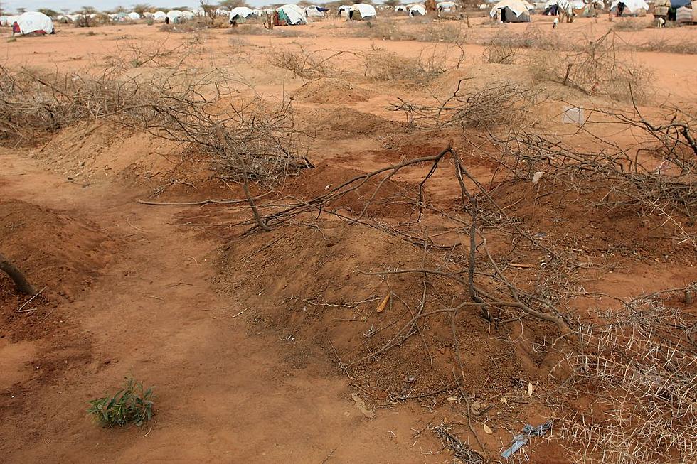 Doomsday Cult Death Toll Rises to Over 400 as Authorities Continue to Uncover Mass Graves
