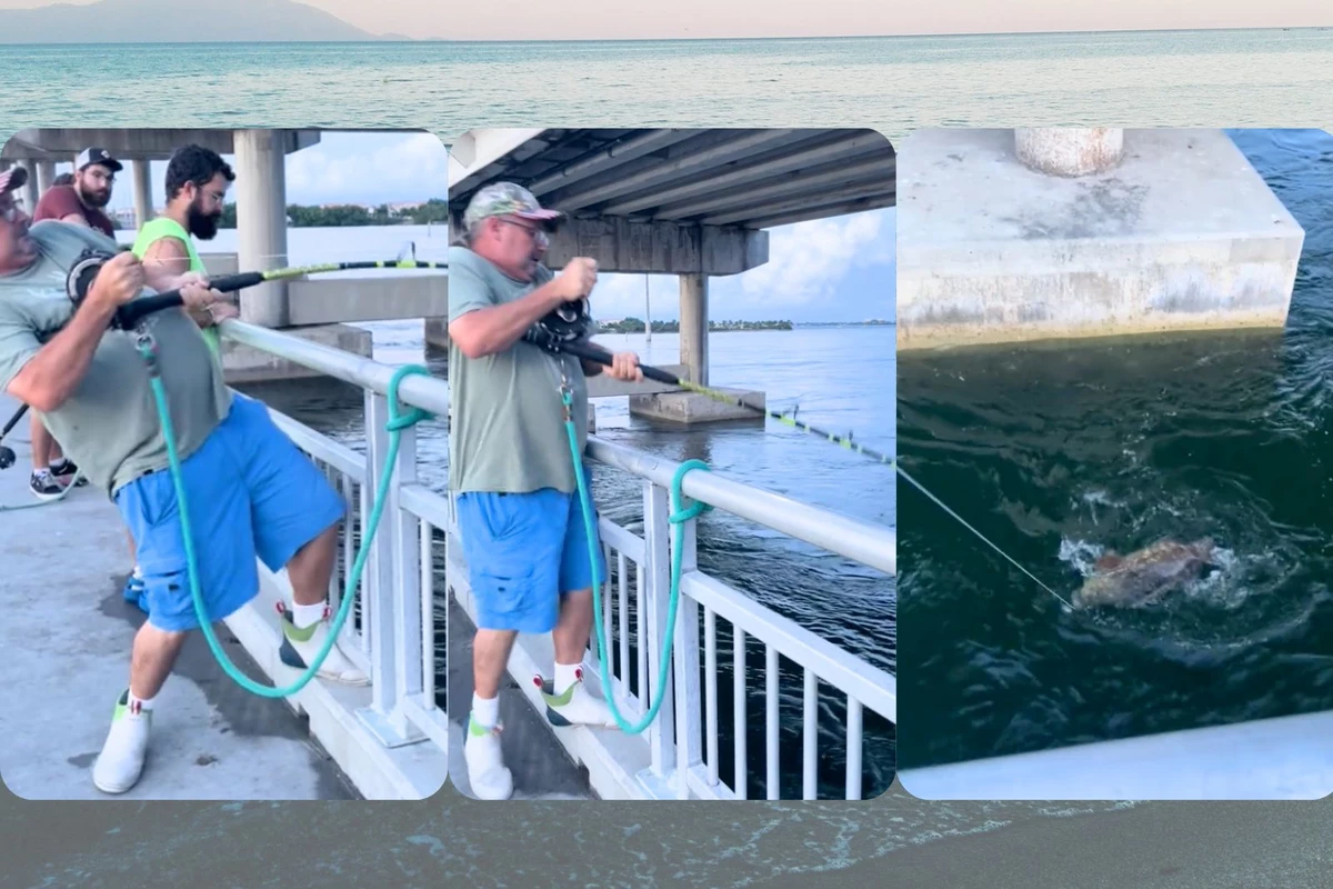 Florida Fishing TikTok es más intenso que cualquier película este verano