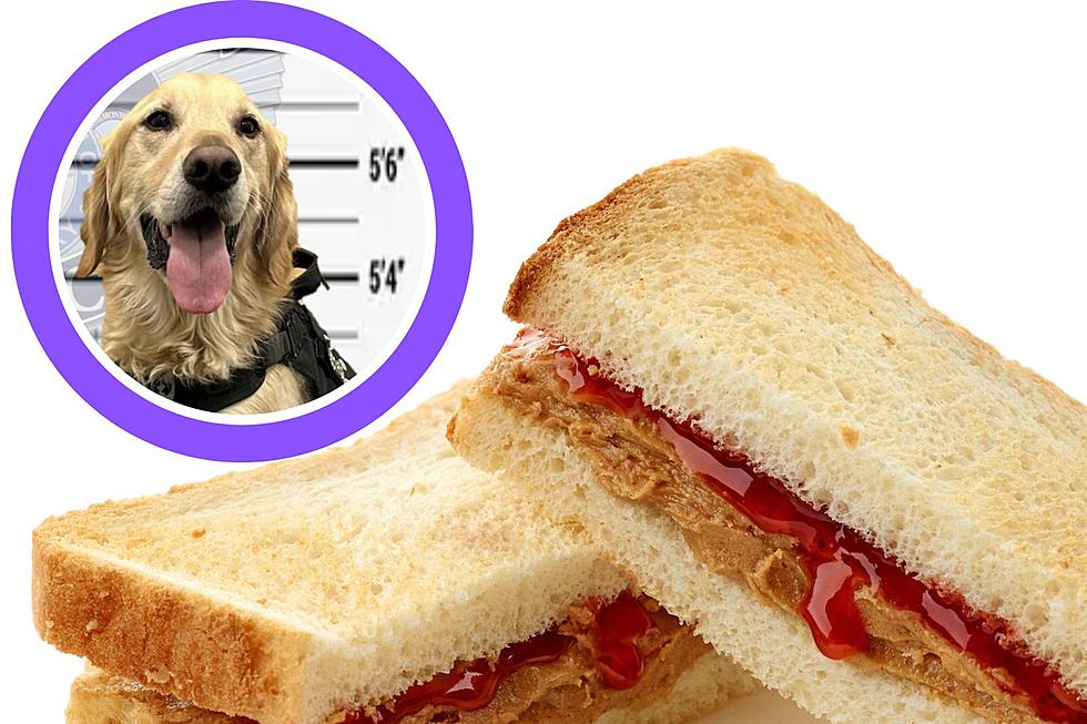 Stolen Peanut Butter Sandwich Has Kentucky Police Investigating One of Their Own