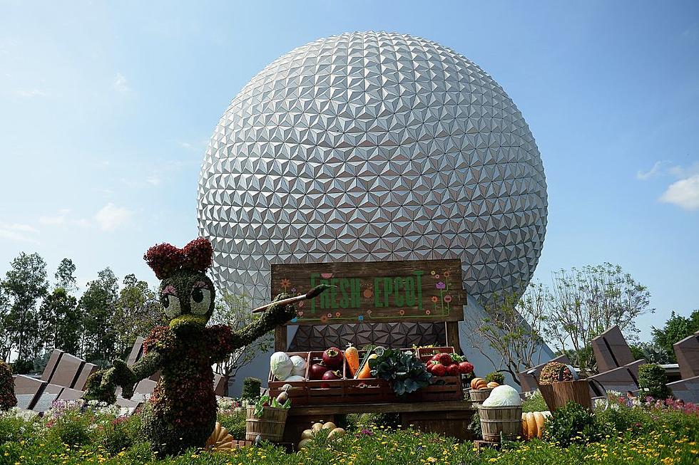 Police Respond to Disney World EPCOT Ride Line Confrontation