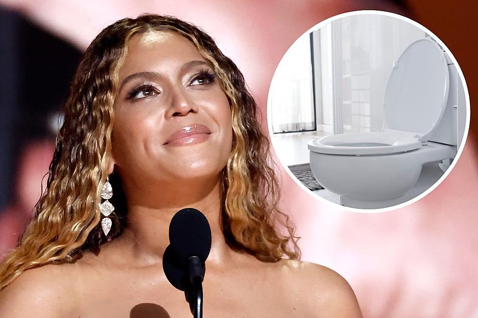 Does Beyonce Use Her Own Personal Toilet Seats on Tour? 