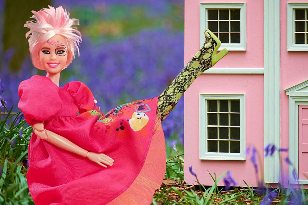 Preorder Mattel's Official Weird Barbie Doll