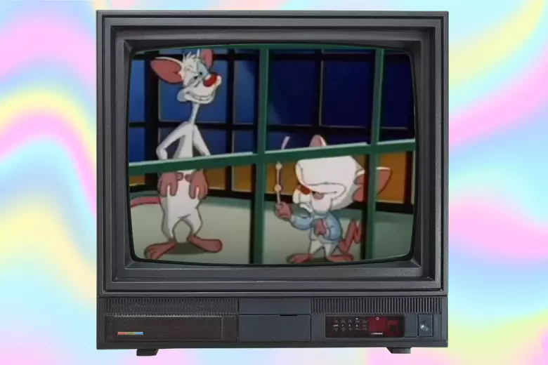 Pinky and the Brain Barbie meme by me : r/animaniacs