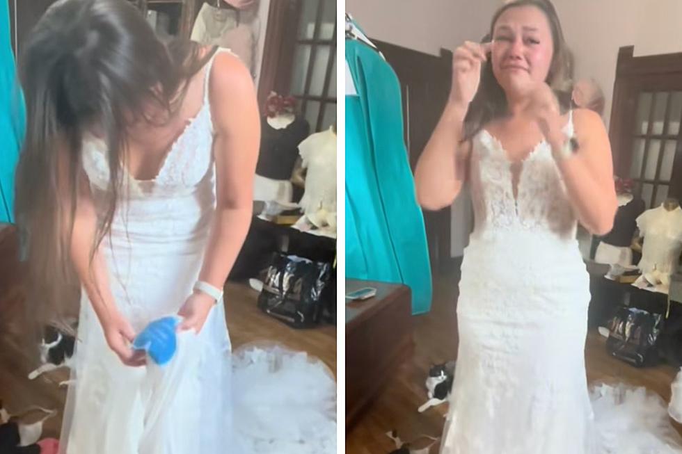 Bride Left Speechless After Seeing Surprise on Wedding Dress