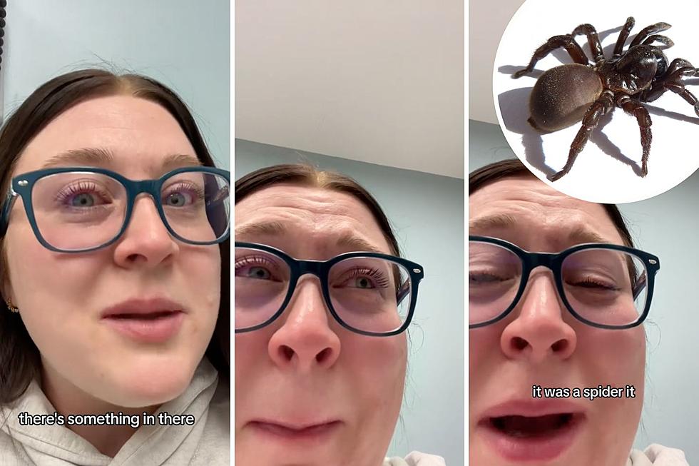 TikToker Bursts Into Tears After Spider is Removed From Her Ear
