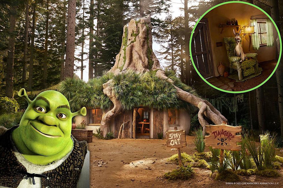 Unleash Your Inner Ogre: Spend the Night in Shrek&#8217;s Swamp (PHOTOS)