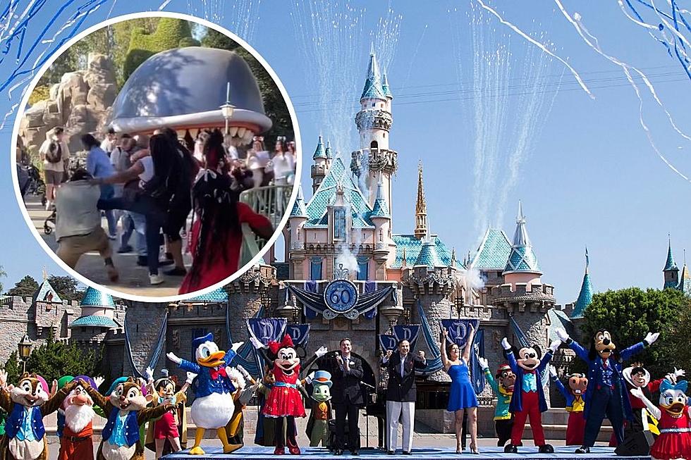 Disneyland Brawl Erupts in Fantasyland With Baby Strollers Caught in Middle: WATCH