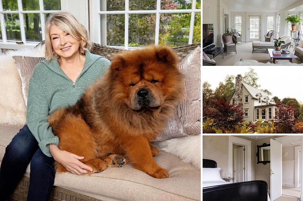 Brunch with Martha Stewart and Rent Guest Cottage for $11.23