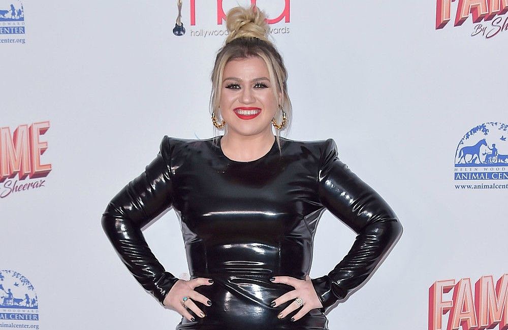Kelly Clarkson Had Wardrobe Malfunction in 'Since U Been Gone'