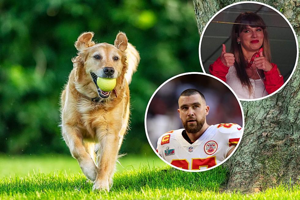 Taylor Swift and Travis Kelce Are Influencing What People Name Their Dogs