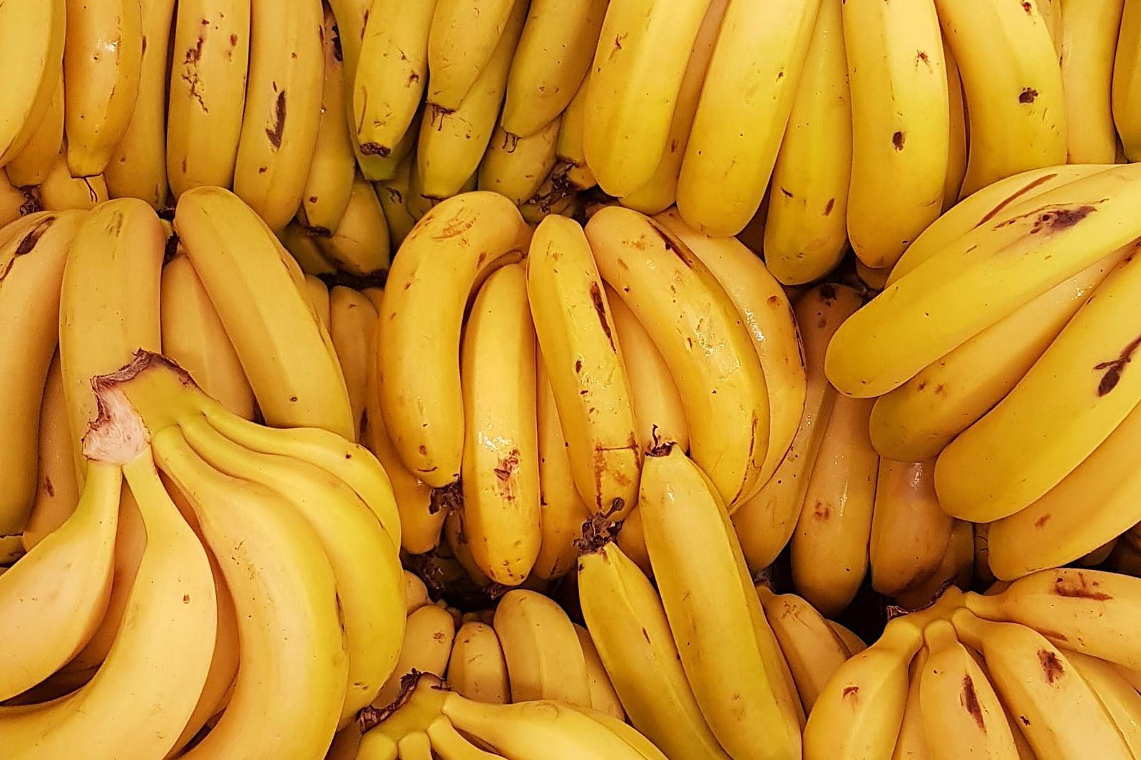 How to Keep Your Bananas From Turning Brown