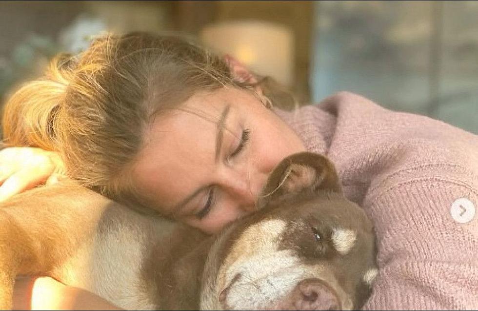 Gisele Bundchen and Tom Brady Mourn Loss of Dog They Adopted Together Following Split