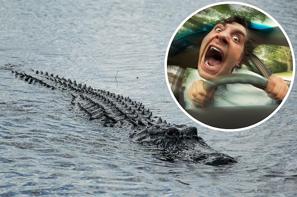 Google Maps Led Stranded Safari Guide to Crocodile-Infested Waters
