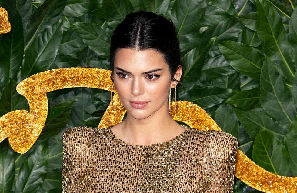 Kendall Jenner Cited for Running Stop Sign