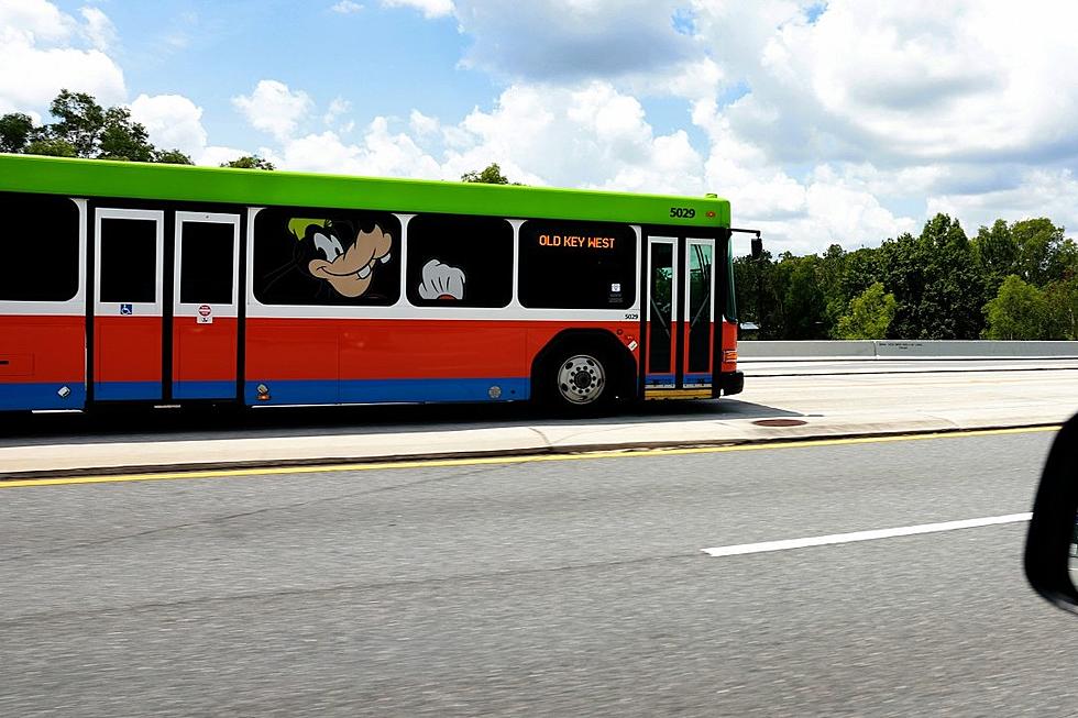 Man Attacks Bus for Dropping Him Off at Disney World Instead of SeaWorld