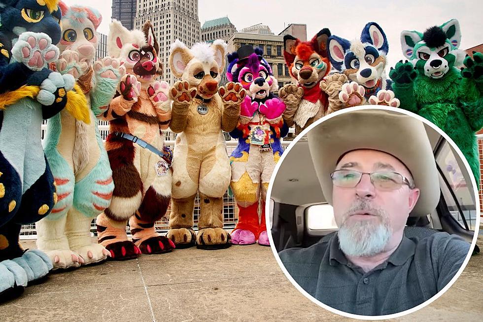 Proposed Bill Allows Animal Control to Remove &#8216;Furries&#8217; From School, Claims Students Are Using Litter Boxes
