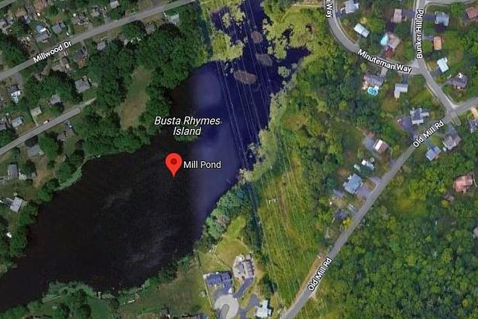 There's a 'Busta Rhymes' Island With a Beaver and Rope Swing 