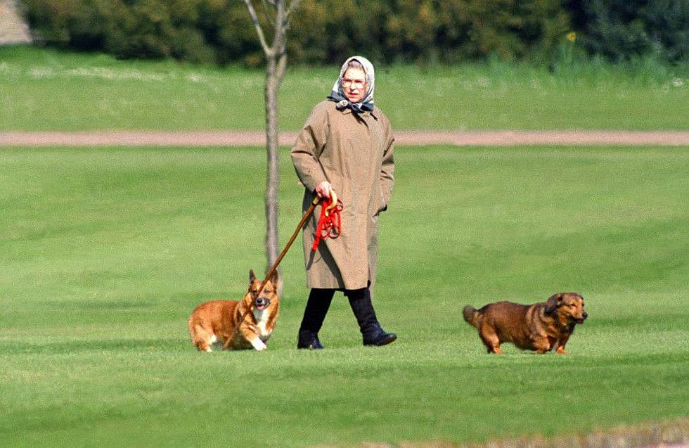 Queen Elizabeth Wanted Princess Diana to Be With Prince Andrew, Not Prince Charles: REPORT
