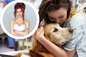 Bride-to-Be Refuses to Let Sister Bring Therapy Dog to Wedding:...