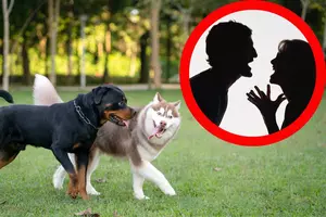 Man With Aggressive Dog Explodes at Woman During Dog Park Dispute:...