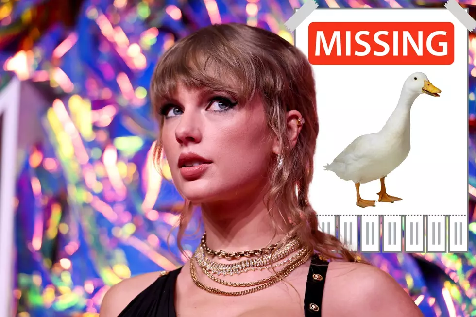 Swifty Goose Held Hostage Following Out-of-Control Teen Party