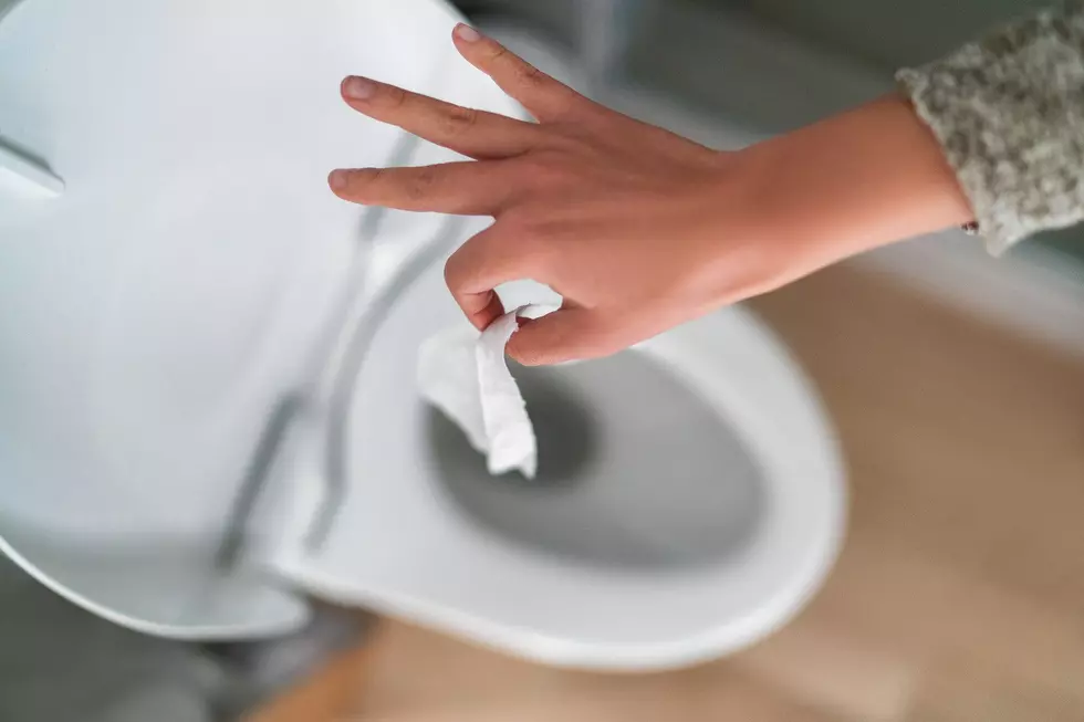 These Six Surprising Items Wreak Havoc on Your Plumbing if You Flush Them Down the Toilet