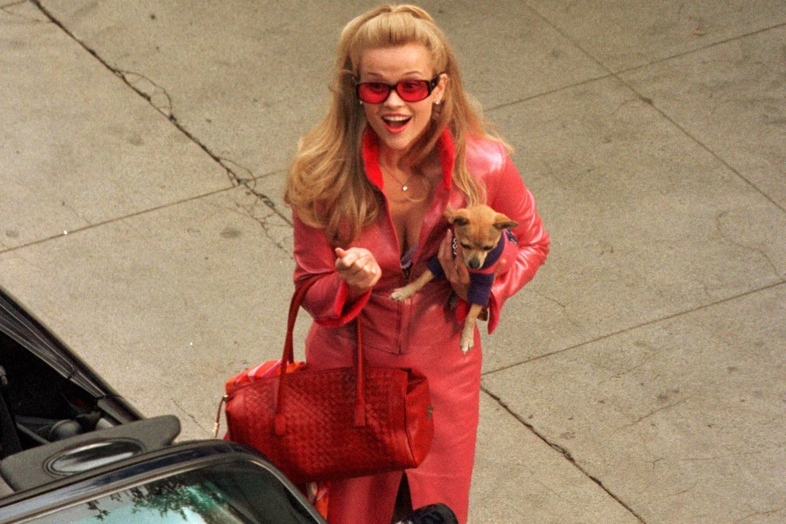 'Legally Blonde' Series Is Coming to TV