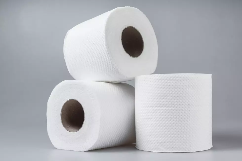 Why You Should Always Check Toilet Paper Rolls in Hotel Rooms and Public Restrooms Before Using Them