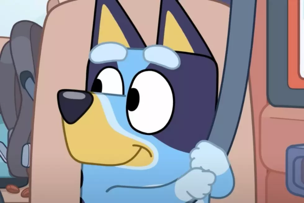 Is ‘Bluey’ Over? And Was Special Episode ‘The Sign’ the Show’s Finale?